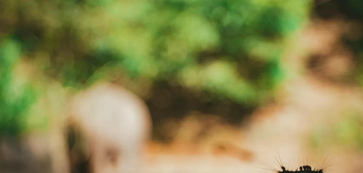 Making Sense of Digital Transformation Initiatives: Seeing Past the Fuzziness