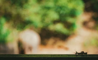 Pexels sonic 230970541 12102966