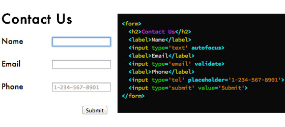 Input form and example code